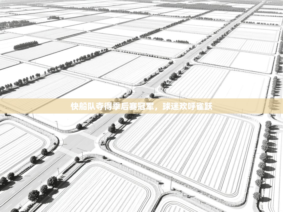 快船队夺得季后赛冠军，球迷欢呼雀跃  第1张