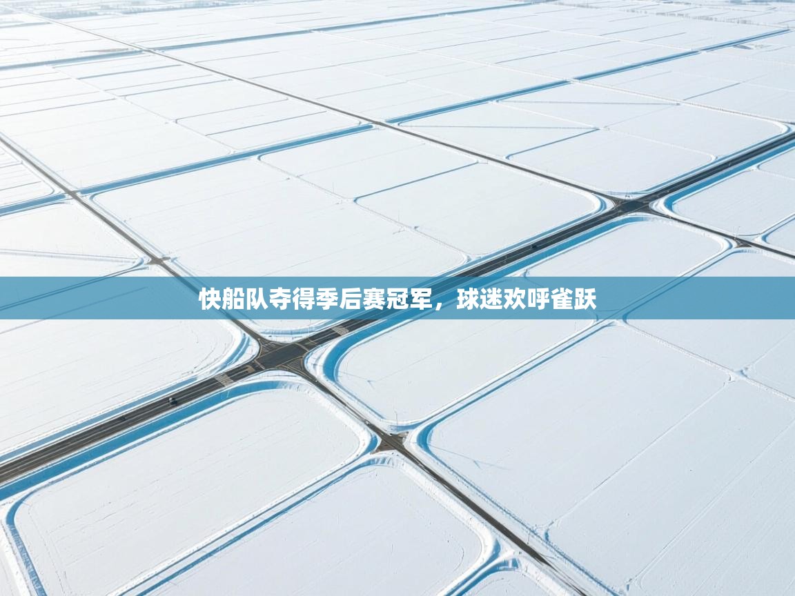 快船队夺得季后赛冠军，球迷欢呼雀跃  第2张