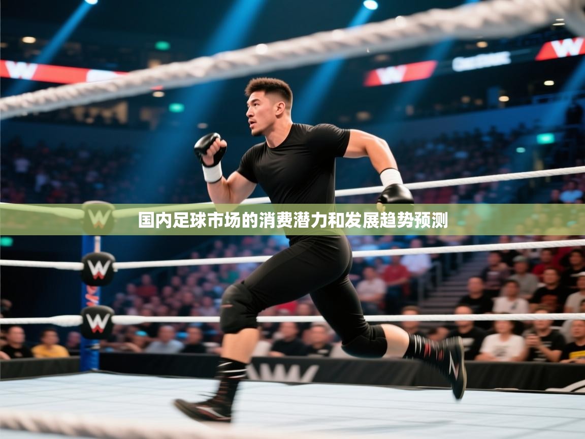 国内足球市场的消费潜力和发展趋势预测 第1张