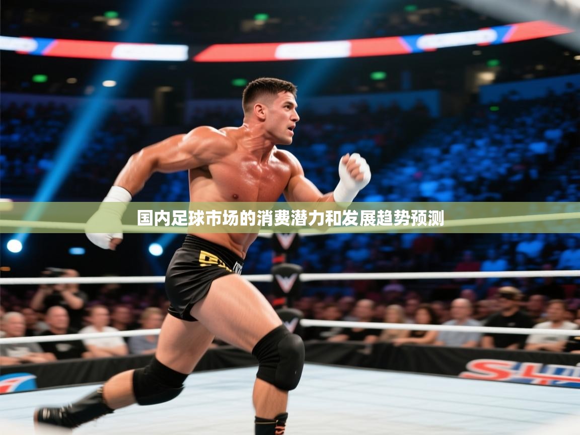 国内足球市场的消费潜力和发展趋势预测 第2张